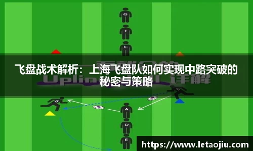 飞盘战术解析：上海飞盘队如何实现中路突破的秘密与策略